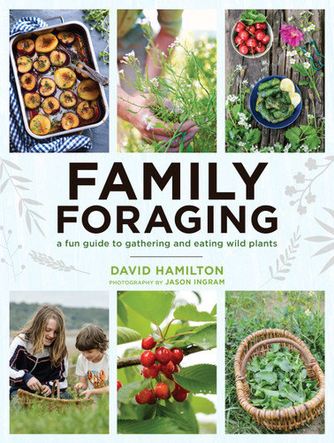 Family Foraging: A Fun Guide to Gathering and Eating Wild Plants book cover by David Hamilton