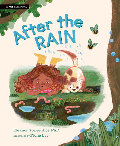 After the Rain book cover by Eleanor Spicer Rice