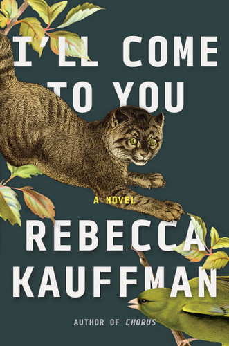 I'll Come to You: A Novel book cover by Rebecca Kauffman