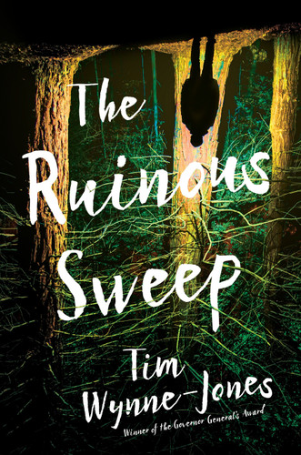 The Ruinous Sweep book cover by Tim Wynne-Jones