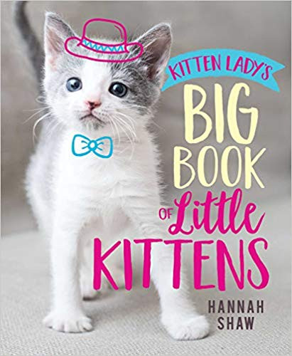 Kitten Lady's Big Book of Little Kittens Cover