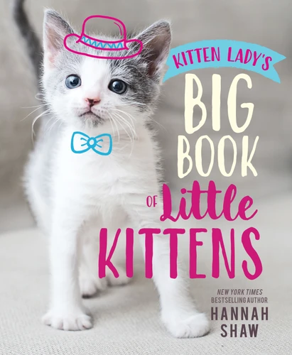 Kitten Lady's Big Book of Little Kittens book cover by Hannah Shaw