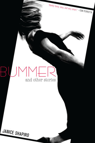 Bummer: And Other Stories book cover by Janice Shapiro