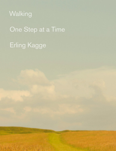 Walking: One Step At a Time book cover by Erling Kagge