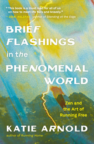 Brief Flashings in the Phenomenal World book cover by Katie Arnold