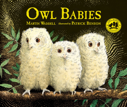 Owl Babies (Owl Babies) book cover by Martin Waddell