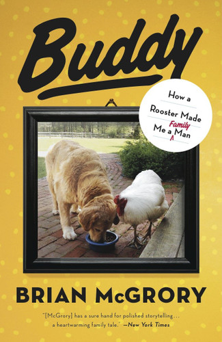 Buddy: How a Rooster Made Me a Family Man book cover by Brian McGrory