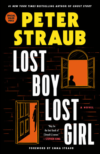Lost Boy Lost Girl: A Novel book cover by Peter Straub