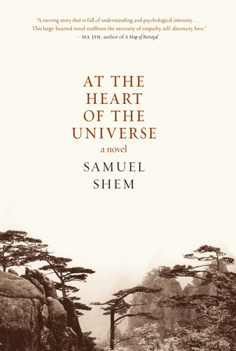 At the Heart of the Universe: A Novel book cover by Samuel Shem