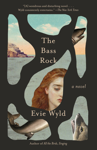 The Bass Rock: A Novel book cover by Evie Wyld