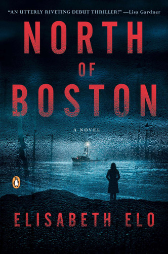North of Boston: A Novel book cover by Elisabeth Elo