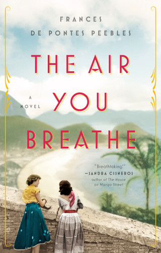 The Air You Breathe: A Novel book cover by Frances de Pontes Peebles