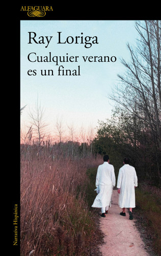 Cualquier verano es un final / Any Summer Is an Ending book cover by Ray Loriga
