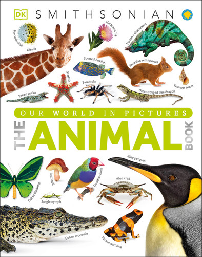 The Animal Book: A Visual Animal Kingdom Encyclopedia for Kids (DK Our World in Pictures) book cover by David Burnie