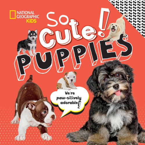 So Cute! Puppies (So Cool/So Cute) book cover by Crispin Boyer