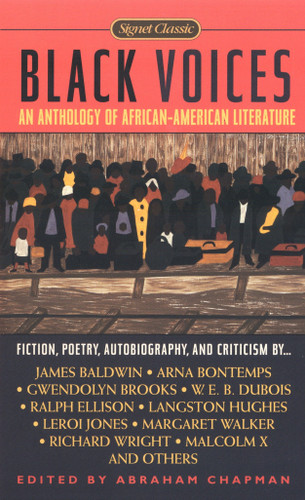 Black Voices book cover by Various