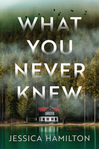 What You Never Knew: A Novel book cover by Jessica Hamilton