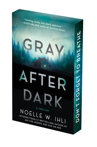 Gray After Dark: Deluxe Stenciled Edges book cover by Noelle West Ihli