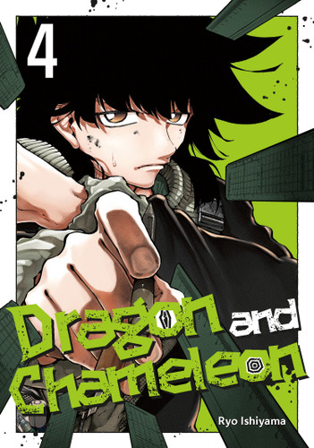 Dragon and Chameleon 04 (Dragon and Chameleon) book cover by Ryo Ishiyama