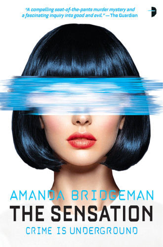 The Sensation: The Salvation Series, Book II book cover by Amanda Bridgeman