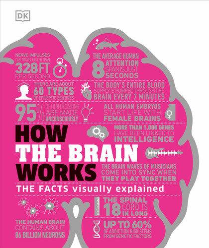 How the Brain Works: The Facts Visually Explained (DK How Stuff Works) book cover by DK