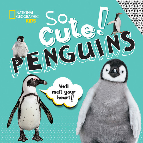 So Cute! Penguins (So Cool/So Cute) book cover by Crispin Boyer
