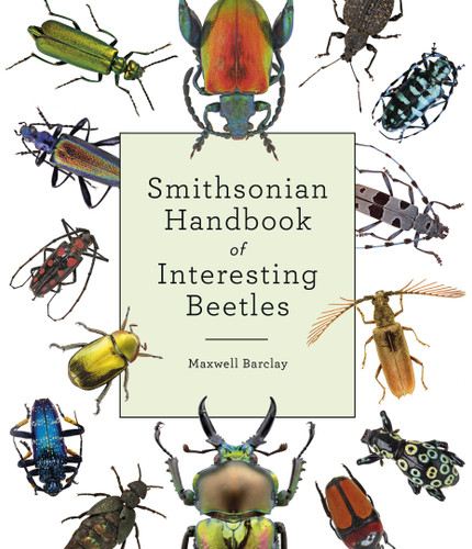 Smithsonian Handbook of Interesting Beetles book cover by Maxwell Barclay