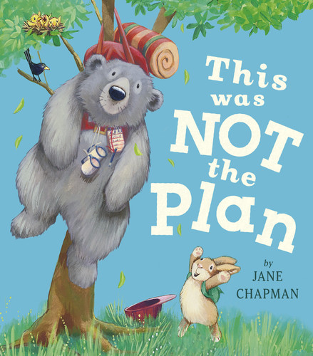 This Was Not the Plan book cover by Jane Chapman