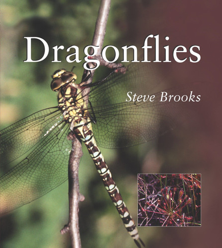 Dragonflies (Smithsonian's Natural World Series) book cover by Steve Brooks