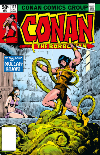 Conan The Barbarian: The Original Comics Omnibus Vol.5 (CONAN THE BARBARIAN OMNIBUS) book cover by J.M Dematteis