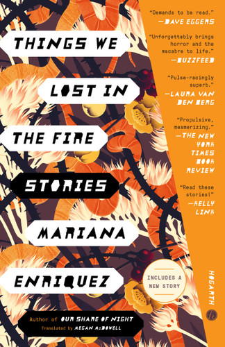 Things We Lost in the Fire: Stories book cover by Mariana Enriquez