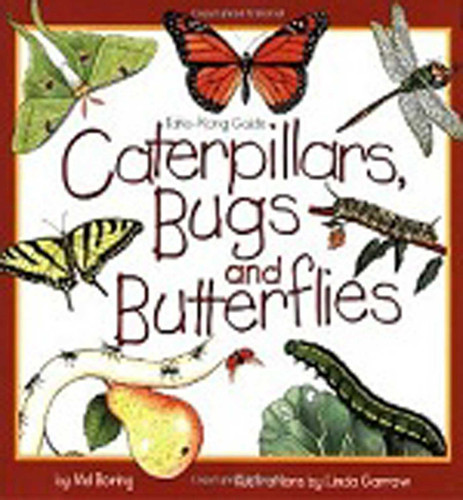 Caterpillars, Bugs and Butterflies (Take Along Guides) book cover by Mel Boring