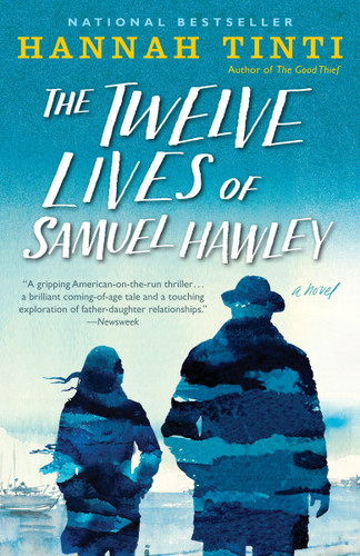 The Twelve Lives of Samuel Hawley: A Novel book cover by Hannah Tinti
