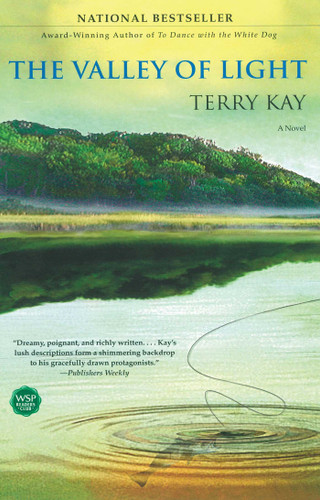 The Valley of Light: A Novel book cover by Terry Kay