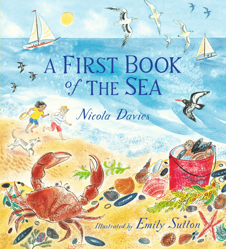 A First Book of the Sea book cover by Nicola Davies