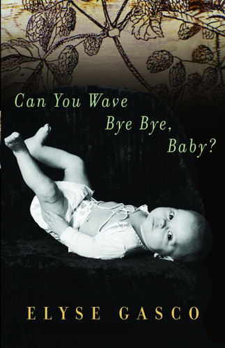 Can You Wave Bye Bye, Baby? book cover by Elyse Gasco