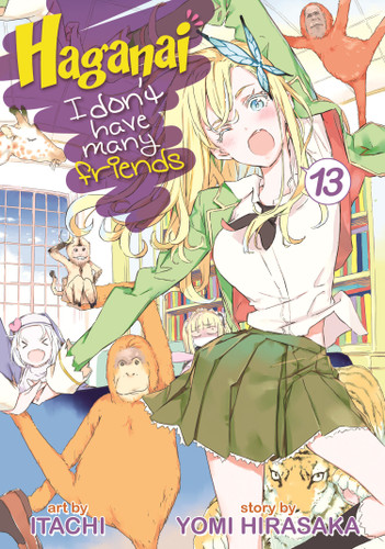 Haganai: I Don't Have Many Friends Vol. 13 (Haganai: I Don't Have Many Friends) book cover by Yomi Hirasaka