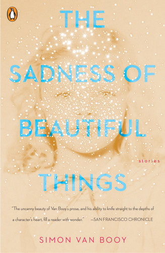 The Sadness of Beautiful Things: Stories book cover by Simon Van Booy