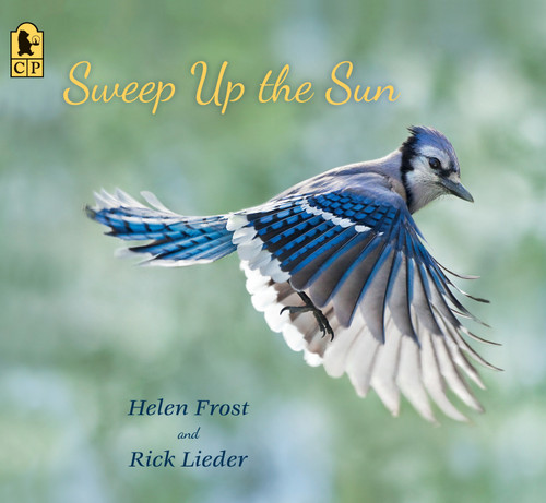 Sweep Up the Sun (Step Gently, Look Closely) book cover by Helen Frost