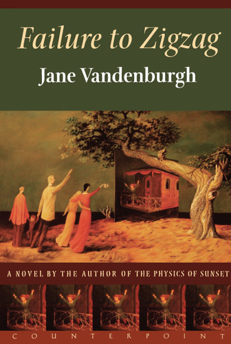 Failure To Zigzag: A Novel book cover by Jane Vandenburgh