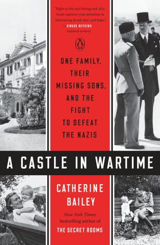 A Castle in Wartime: One Family, Their Missing Sons, and the Fight to Defeat the Nazis book cover by Catherine Bailey