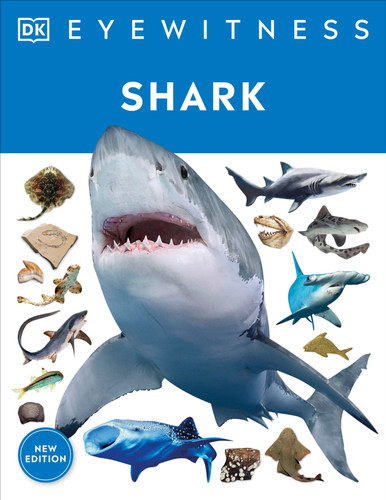 Eyewitness Shark: Dive into the fascinating world of sharks (DK Eyewitness) book cover by DK