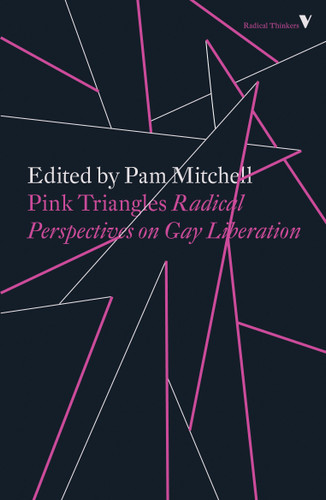 Pink Triangles: Radical Perspectives on Gay Liberation book cover by Pam Mitchell