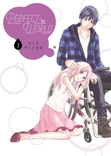 Perfect World 3 (Perfect World) book cover by Rie Aruga