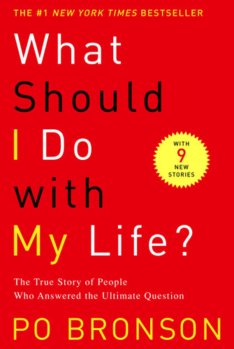 What Should I Do with My Life?: The True Story of People Who Answered the Ultimate Question book cover by Po Bronson