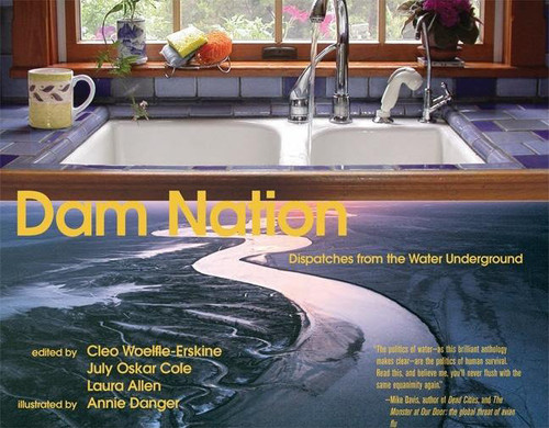 Dam Nation: Dispatches from the Water Underground book cover by 