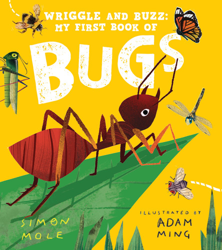 Wriggle and Buzz: My First Book of Bugs book cover by Simon Mole
