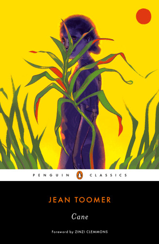 Cane book cover by Jean Toomer