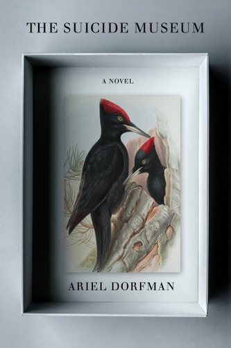 The Suicide Museum: A Novel book cover by Ariel Dorfman