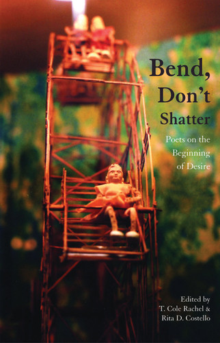 Bend, Don't Shatter: Poets on the Beginning of Desire book cover by 